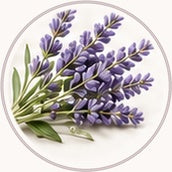 Aromatice